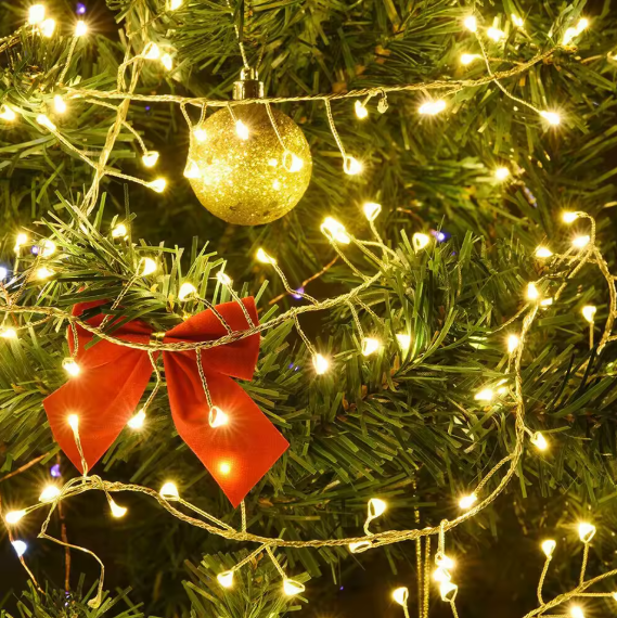 Hollyvia™ Firecracker Fairy String Lights