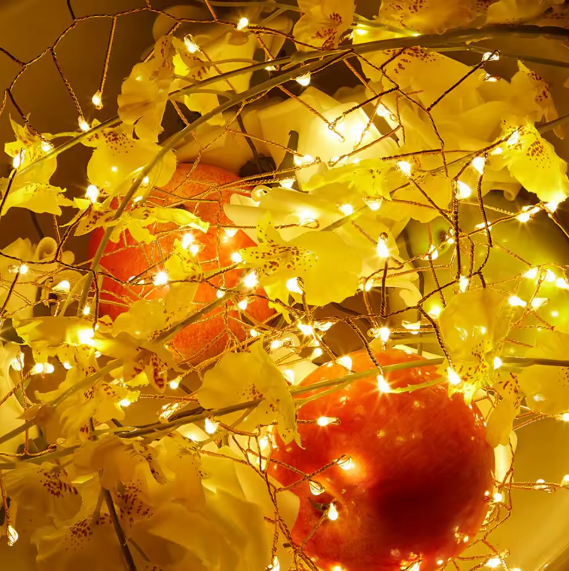 Hollyvia™ Firecracker Fairy String Lights