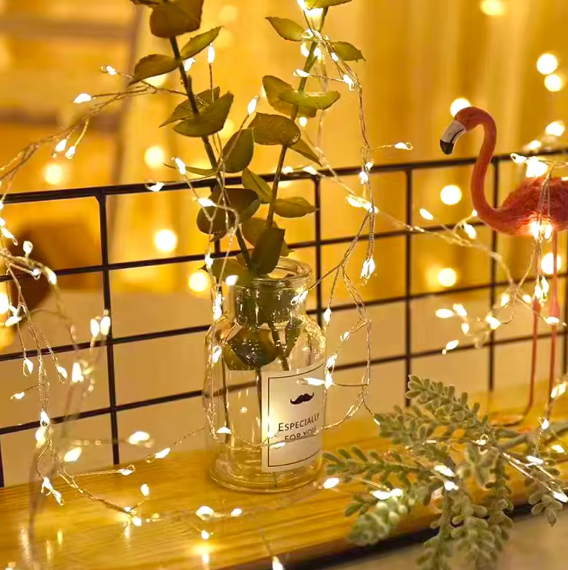 Hollyvia™ Firecracker Fairy String Lights